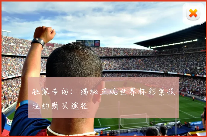 独家专访:揭秘正规世界杯彩票投注的购买途径