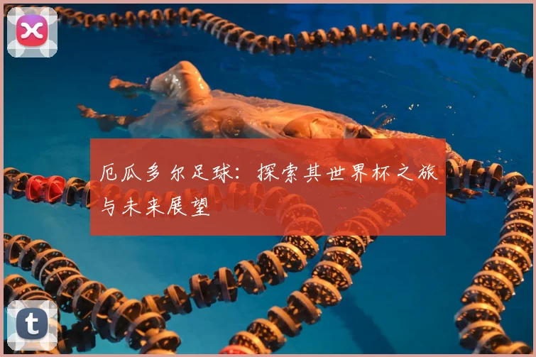 厄瓜多尔足球：探索其世界杯之旅与未来展望