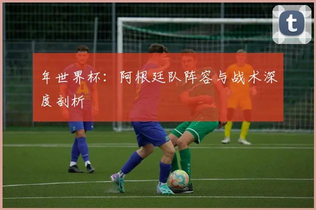 年世界杯：阿根廷队阵容与战术深度剖析